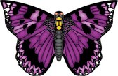 Vlieger vlinder - paars - 71 cm breed/wijd - nylon