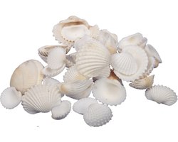 Othmar Decoratie/hobby schelpen mix - 500 gr - naturel wit - woondecoratie - thema decoratie