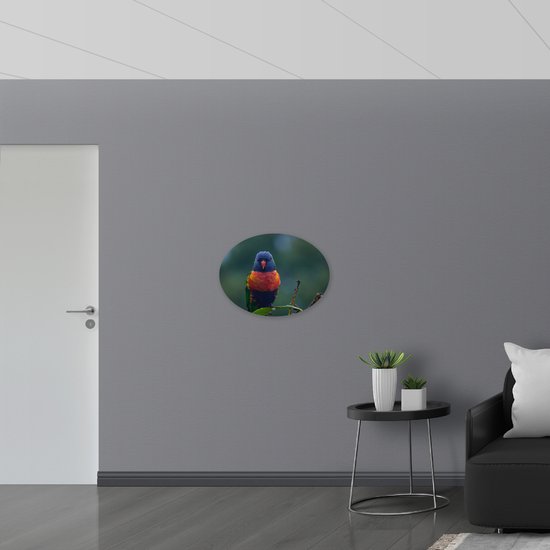 PVC Schuimplaat Ovaal - Kleine Rood met Blauwe Parkiet op Groen Blad - 68x51 cm Foto op Ovaal (Met Ophangsysteem)