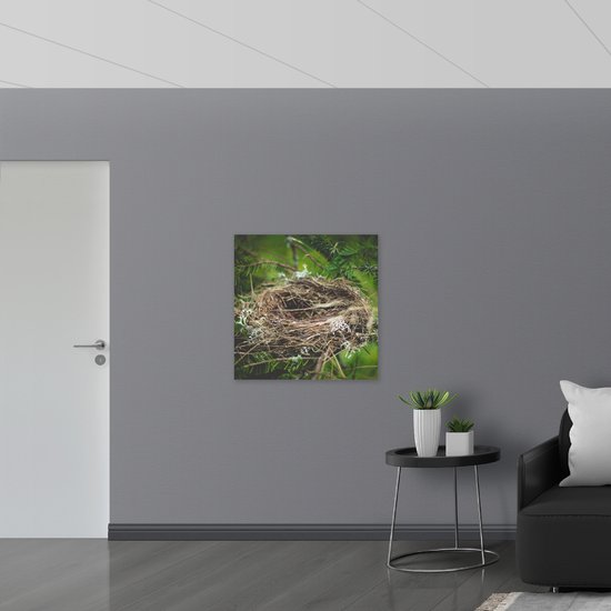 WallClassics - Muursticker - Nid d'oiseau vide - 80x80 cm Photo sur Muursticker