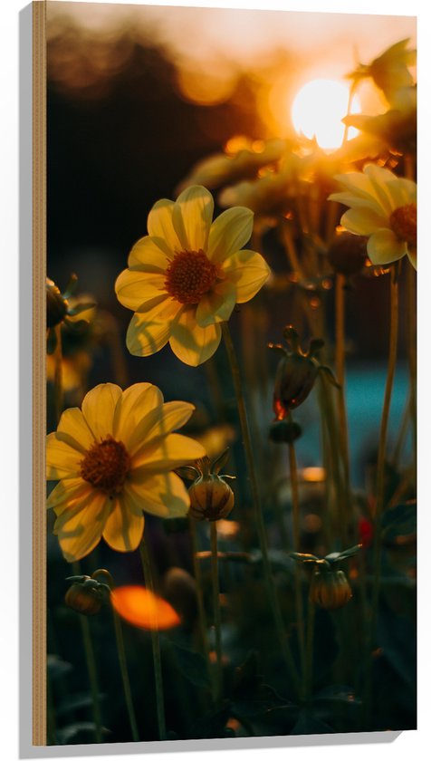 Hout - Zonsondergang achter Gele Kleine Bloemen - 50x100 cm - 9 mm dik - Foto op Hout (Met Ophangsysteem)