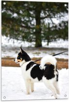 WallClassics - Tuinposter – Aangelijnde Zwart met Witte Puppy in de Sneeuw - 60x80 cm Foto op Tuinposter (wanddecoratie voor buiten en binnen)