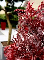 UXORSN 14 bundels kunstplanten buiten nepgras struiken 51 cm kunstmatige tarwegras UV-bestendig groene vegetatie stengels nep struiken plant voor binnen buiten tuin raam kantoor decoratie, groen
