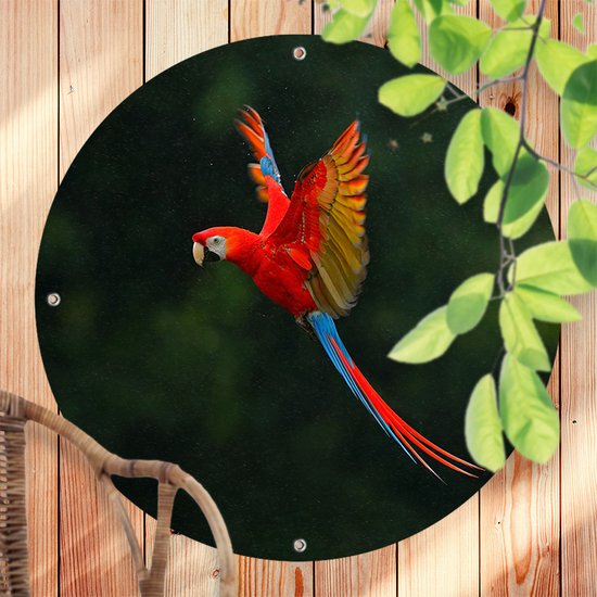 Allecto Plus - Hangende Vogelhangmat Pluche Voor Warmte In De Winter Geschikt Voor Ara S Afrikaanse Parkieten Valkparkieten En Kaketoes Roze