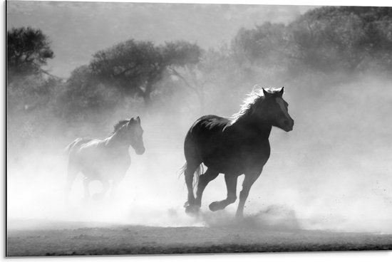 WallClassics - Dibond - Galoperende Paarden bij het Bos (Zwart-wit) - 75x50 cm Foto op Aluminium (Wanddecoratie van metaal)