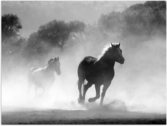 WallClassics - Poster (Mat) - Galoperende Paarden bij het Bos (Zwart-wit) - 40x30 cm Foto op Posterpapier met een Matte look