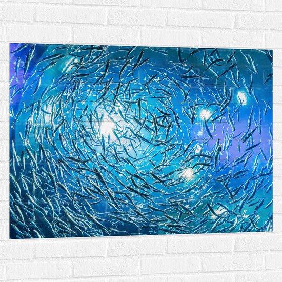 Muursticker - School Vissen in een Groot Aquarium - 100x75 cm Foto op Muursticker
