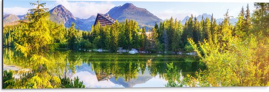 Dibond - Groenkleurige Planten aan het Water bij Bergen - 90x30 cm Foto op Aluminium (Wanddecoratie van metaal)