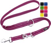 DDOXX Nylon Hondenriem, Reflecterend, 3 Verstelbaar, 2m | Voor Kleine & Grote Honden | Dubbele Lood Twee Hond Kat Puppy | Touwtrek Leiband | Lood | Wandelriem Puppy Leiband | L, Paars Violet