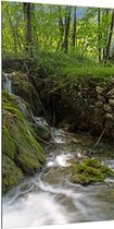 Dibond - Kleine Watervallen Stromend in Riviertje in het Bos - 100x200 cm Foto op Aluminium (Wanddecoratie van metaal)