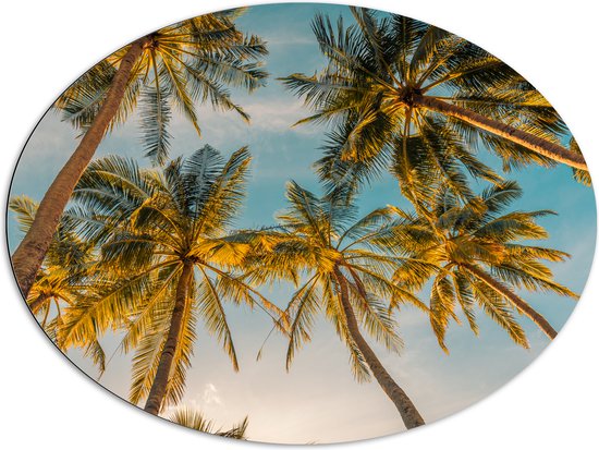 Dibond Ovaal - Onderaanzicht van Hoge Palmbomen in het Zonlicht - 96x72 cm Foto op Ovaal (Met Ophangsysteem)
