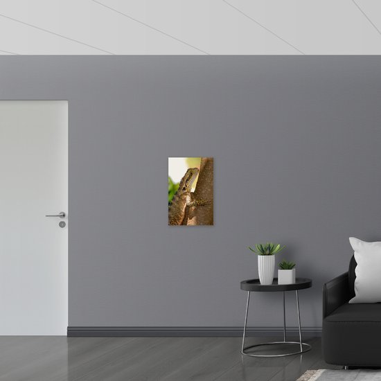 WallClassics - Bois - Reptile dans un Arbre - 40x60 cm - 9 mm d'épaisseur - Photo sur Bois (Avec Système d'accrochage)