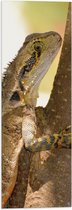 WallClassics - Vlag - Reptiel in een Boom - 20x60 cm Foto op Polyester Vlag