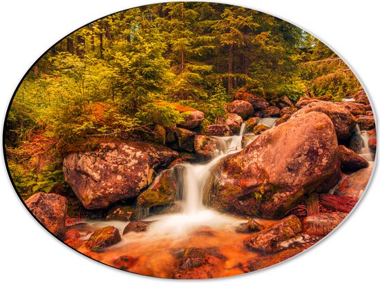 Dibond Ovaal - Kleine Waterval door het Bos vol Bomen en Keien - 40x30 cm Foto op Ovaal (Met Ophangsysteem)