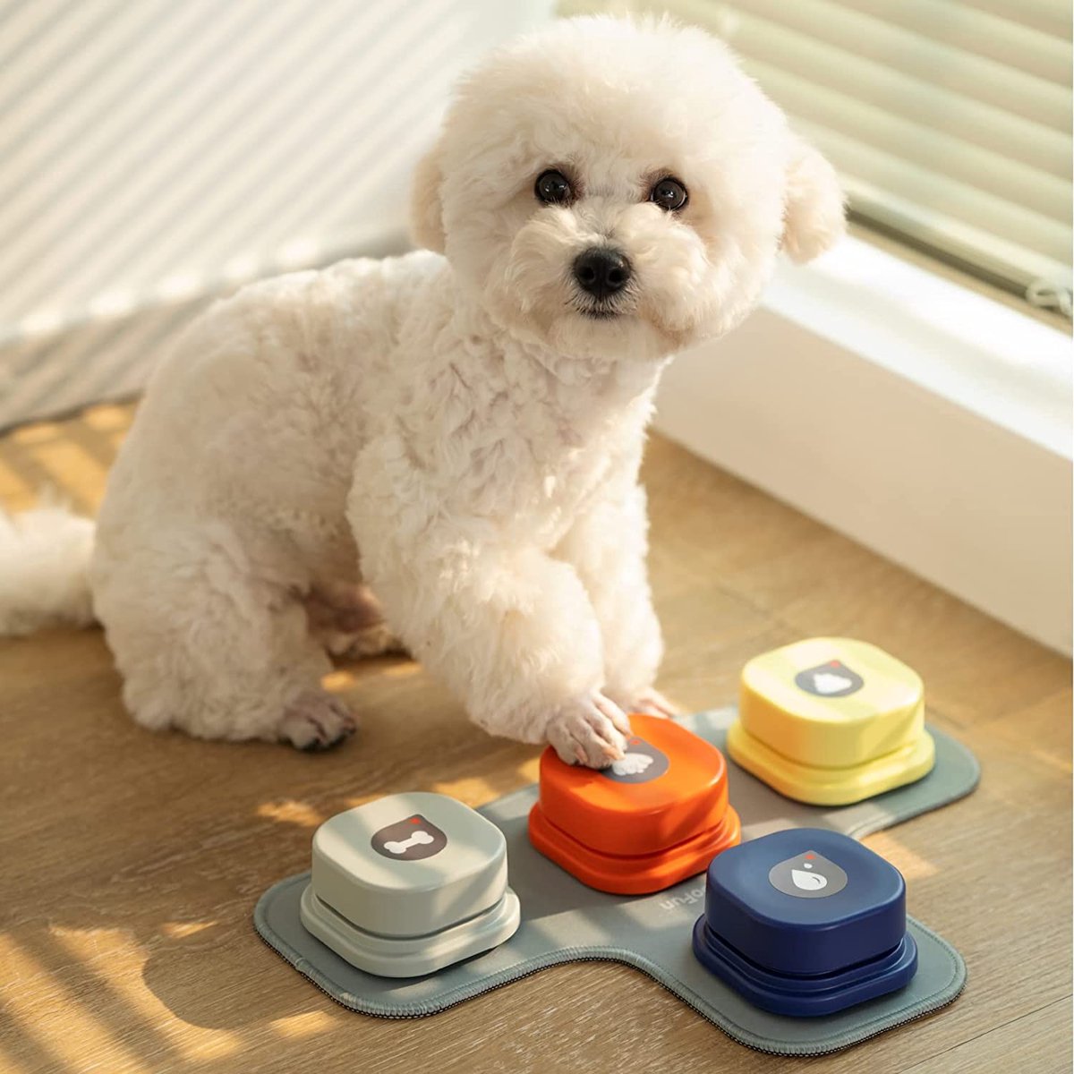 ShenMo Ensemble de 4 boutons communication chien, chien parler
