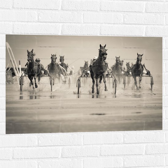 Muursticker - Groep Rennende Paarden (zwart- wit) - 90x60 cm Foto op Muursticker