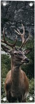 WallClassics - Tuinposter – Wegkijkend Hert omringd door Struiken - 20x60 cm Foto op Tuinposter (wanddecoratie voor buiten en binnen)