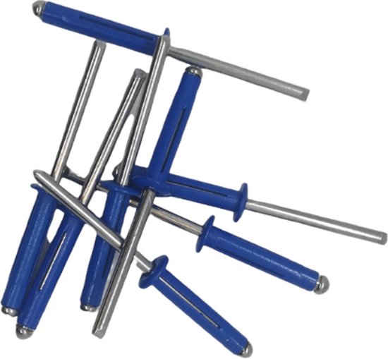 LB Tools Professional pop rivets plaque d'immatriculation bleu (10 pcs) |  bol.com
