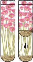 Sock My Feet Pink Sunflowers - 36-38- damessokken - naadloos - Moederdag - cadeau