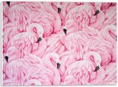 WallClassics - PVC Schuimplaat - Patroon van Roze Flamingo's - 40x30 cm Foto op PVC Schuimplaat (Met Ophangsysteem)