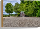 WallClassics - Hout - Bruine Hutjes aan de Rand van het Bos - 40x30 cm - 9 mm dik - Foto op Hout (Met Ophangsysteem)