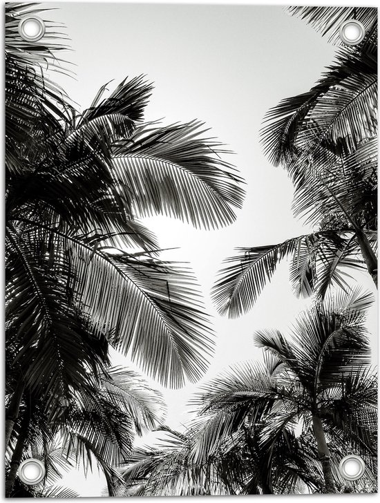 WallClassics - Tuinposter – Zwart/ Witte Palmbladeren - 30x40 cm Foto op Tuinposter (wanddecoratie voor buiten en binnen)