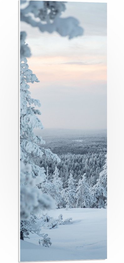 WallClassics - PVC Schuimplaat - Uitzicht over Wit Sneeuwlandschap - 30x90 cm Foto op PVC Schuimplaat (Met Ophangsysteem)