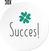 30x Succes Wensen Stickers Cadeaustickers - Zwart Wit Groen - 30 stuks - 4,5 cm - Klavertje Vier - Afscheid - Succes - Werk stickers - Luxe inpakken - Sluitsticker - Sluitstickers