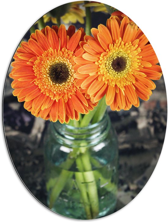 Dibond Ovaal - Oranje Gerbera Jamesonii Bloemen - 60x80 cm Foto op Ovaal (Met Ophangsysteem)