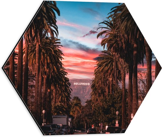 Dibond Hexagon - Los Angeles Hollywood met Palmbomen - 40x34.8 cm Foto op Hexagon (Met Ophangsysteem)