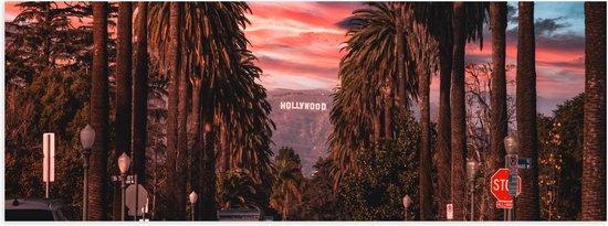 Poster Glanzend – Los Angeles Hollywood met Palmbomen - 120x40 cm Foto op Posterpapier met Glanzende Afwerking