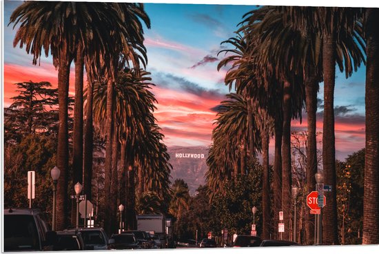 PVC Schuimplaat - Los Angeles Hollywood met Palmbomen - 90x60 cm Foto op PVC Schuimplaat (Met Ophangsysteem)