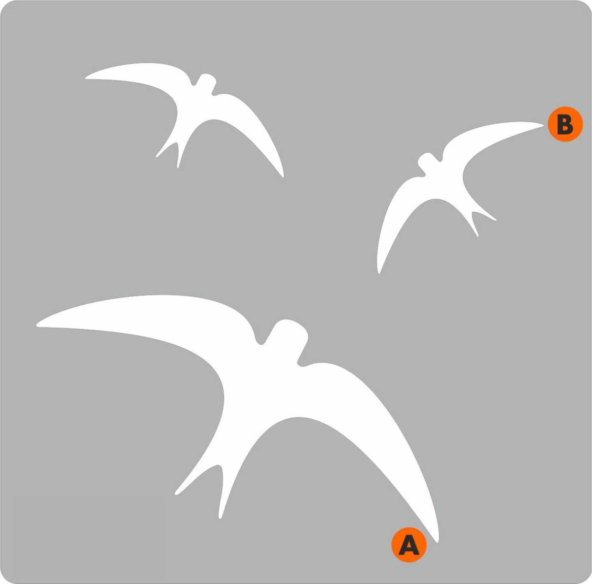 Raamstickers Vogels - Set Van 5 Vogelbescherming Stickers Raamstickers Zwart Duif Vogel Meeuw Geen Vogels Tegen Het Raam