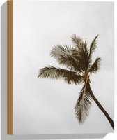 Hout - Palmboom in de Wind - 30x40 cm - 9 mm dik - Foto op Hout (Met Ophangsysteem)