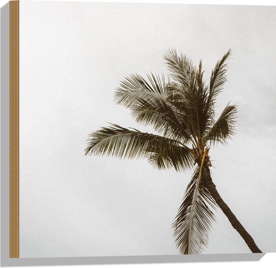 Hout - Palmboom in de Wind - 50x50 cm - 9 mm dik - Foto op Hout (Met Ophangsysteem)