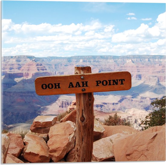 Acrylglas - 'Ooh Aah Point' - Arizona - 50x50 cm Foto op Acrylglas (Met Ophangsysteem)