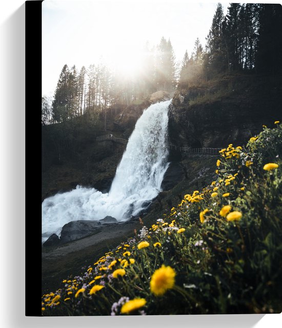 WallClassics - Canvas - Groepje Paardenbloemen bij Waterval met Zonlicht - 30x40 cm Foto op Canvas Schilderij (Wanddecoratie op Canvas)