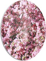 PVC Schuimplaat Ovaal - Licht Roze Bloementjes - 21x28 cm Foto op Ovaal (Met Ophangsysteem)