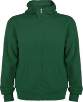 Groen sweatshirt met rits en capuchon model Montblanc merk Roly maat 3XL