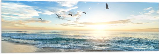 Acrylglas - Vliegende Vogels over Zee - 120x40 cm Foto op Acrylglas (Wanddecoratie op Acrylaat)