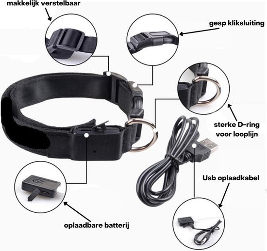 LED Hondenhalsband Aanbieding bij ALDI