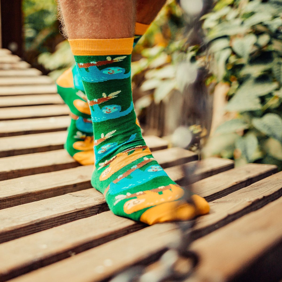 Luiaard sok | Dieren sok | Tropische sok | Multi-color | Herensokken en damessokken | Leuke, grappig sokken | Funny socks that make you happy | Sock & Sock