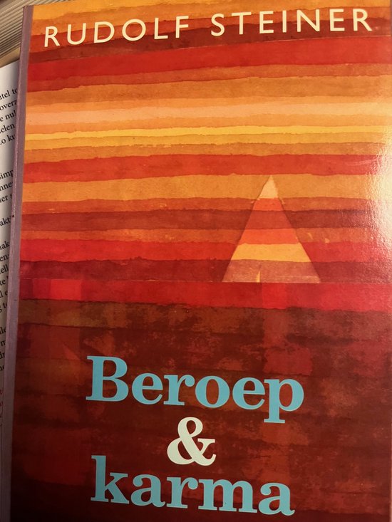 9789060382974 - Beroep en karma
