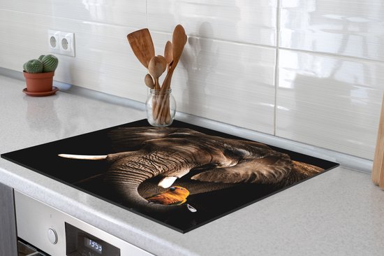 KitchenYeah® Inductie beschermer 78x78 cm - Olifant - Papegaai - Tanden - Kookplaataccessoires - Afdekplaat voor kookplaat - Inductiebeschermer - Inductiemat - Inductieplaat mat