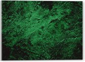 Acrylglas - Muur in het Groen met Textuur - 40x30 cm Foto op Acrylglas (Met Ophangsysteem)