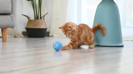 Actieve rollende bal for honden Speelgoed for activering Automatische bal Hond Kat Interactieve grappige kauwpluche Elektrische rollende ballen 1 rollende bal 4 kleuren balhoes
