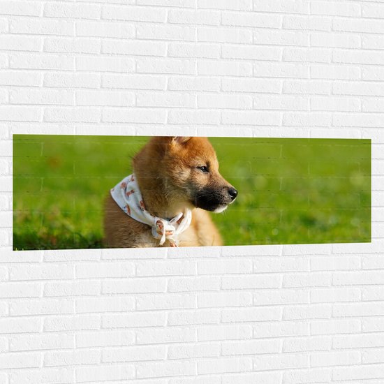 WallClassics - Muursticker - Bruine Shiba Hond in het Gras - 150x50 cm Foto op Muursticker