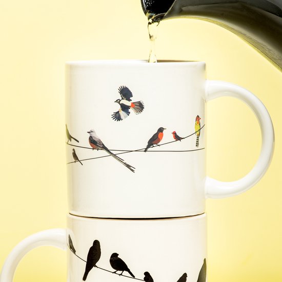 Birds on a Wire Heat-Changing Mug