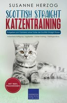 Scottish Straight Katzentraining - Ratgeber zum Trainieren einer Katze der Scottish Straight Rasse