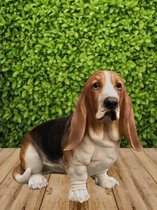 Basset Hound 40 cm hoog - hond - dog - polyresin - polystone - hoogkwalitatieve kunststof - decoratiefiguur - interieur - accessoire - voor binnen - voor buiten - cadeau - geschenk - tuinfiguur - tuinbeeld